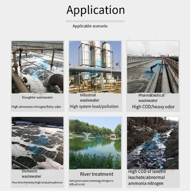 Wasserbehandlung Biobakterien Abbau von Suspendierten Feststoffen organische Substanz braunes Pulver