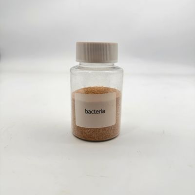 Nicht toxisch Umweltfreundlich Wasserbehandlung Biobakterien Hohe Konzentration zur Verringerung organischer Schadstoffe