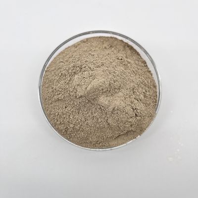 Braune Abwasserbehandlung Bakterielle für industrielle Anwendungen