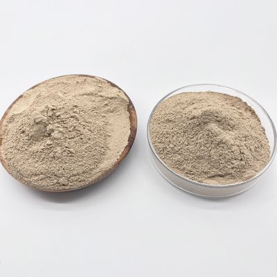OHSAS 18001 Zertifiziertes Bio-Bakterienpulver zur Wasserbehandlung für den pH-Bereich 6,5-8,5 und Leistung