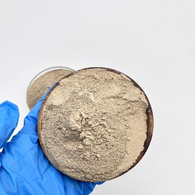Innovative bewährte Leistungsfähigkeit Pulverform Abwasserbehandlung Bakterien für Bio-Bakterien